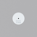 Rhye/THE FALL (MAURICE FULTON REMIX) 12