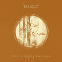 DJ 3000/WORK IN PROGRESS REMIXES 12