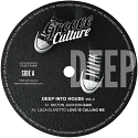 Various/DEEP INTO HOUSE VOL 2 EP 12