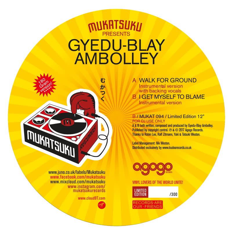 Gyedu-Blay Ambolley/WALK FOR GROUND 12