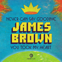 James Brown/NEVER CAN SAY GOODBYE 7