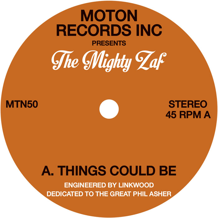Mighty Zaf & Linkwood/THINGS COULD BE 12