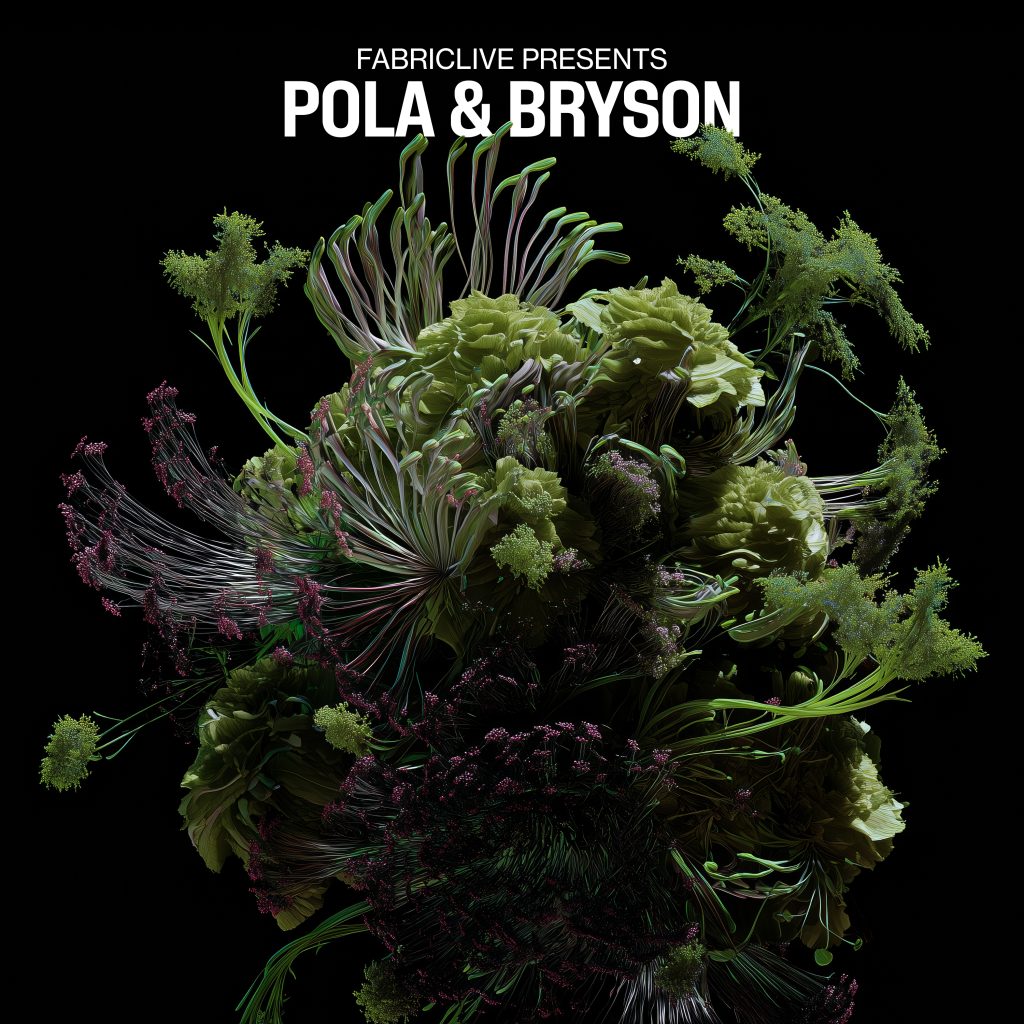 Pola & Bryson/FABRICLIVE PRESENTS... DLP