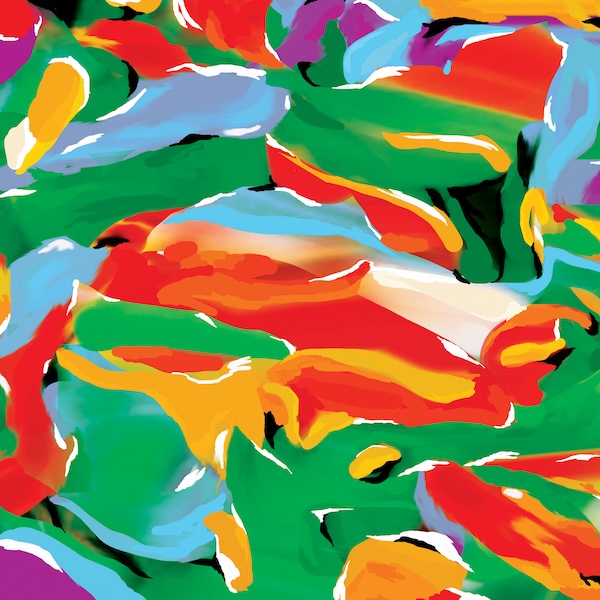 Auntie Flo/BIRDS OF PARADISE LP