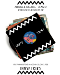 Ab Digi & Inkswel/BLAMO! (PREFUSE 73 REMIXES) 12