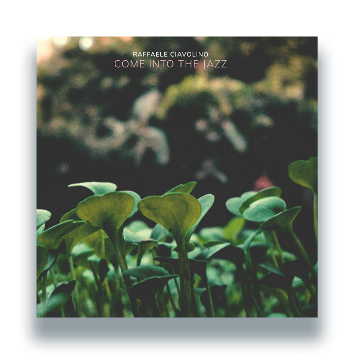 Raffaele Ciavolino/COME INTO THE JAZZ DLP