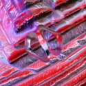 Special Request/UNCANNY VALLEY 12