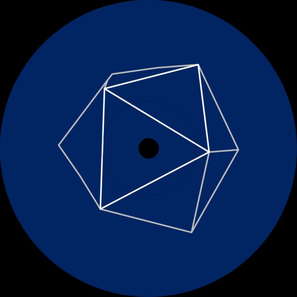 Satoshi Tomiie/RON TRENT REMIXES 12