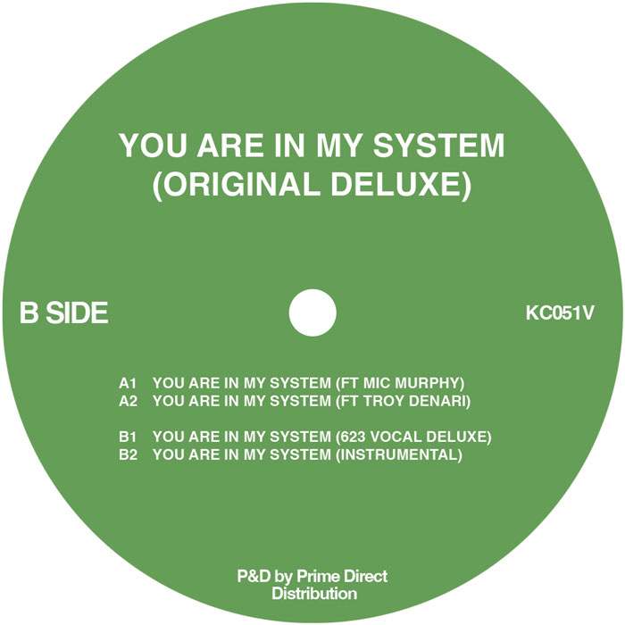 Kerri Chandler/YOU ARE... (ORIG DLX) 12
