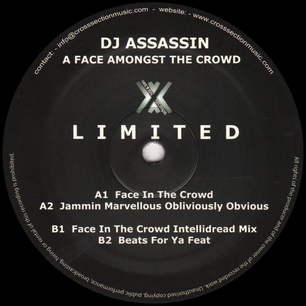 DJ Assassin/A FACE AMONGST THE CROWD 12
