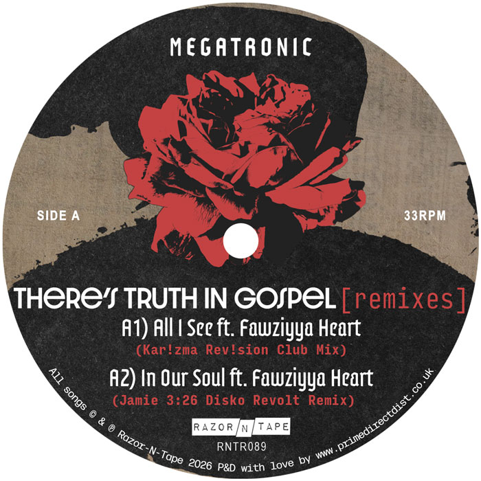 Megatronic/THERE'S TRUTH.. (REMIXES) 12