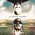 Common vs Stevie Wonder/COMMON WONDER DLP