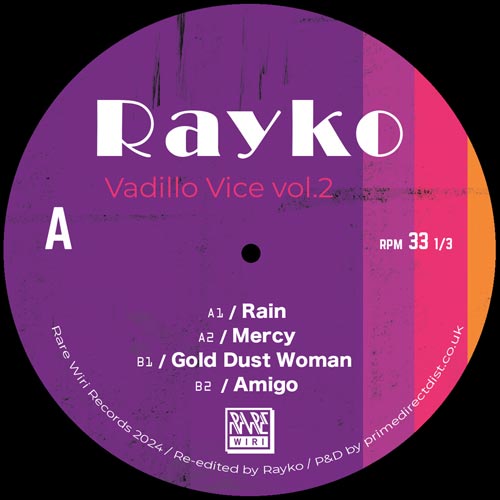 Rayko/VADILLO VICE VOL. 2 12