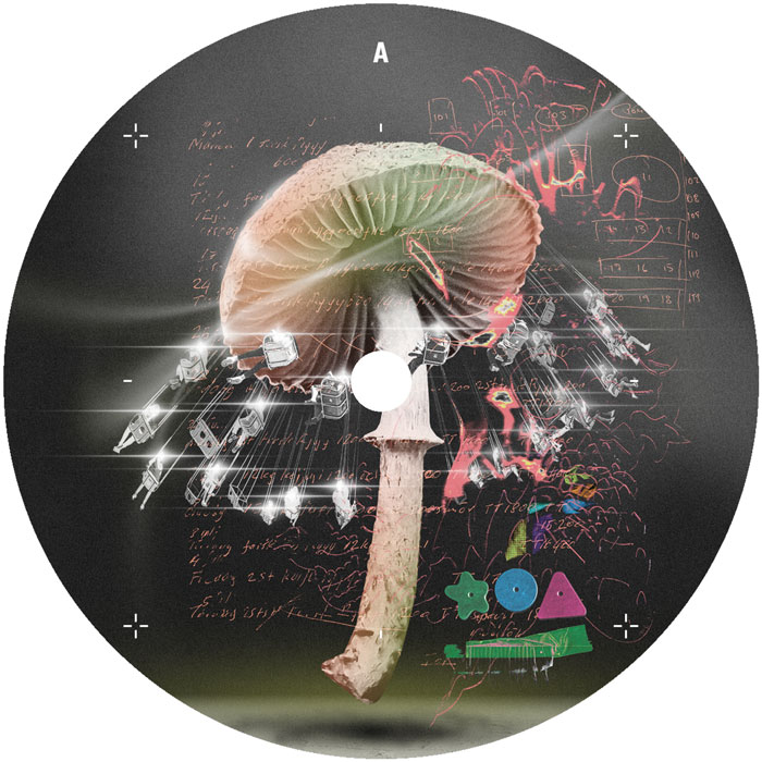 LUSU/MOVE 2 THE GROOVE 12