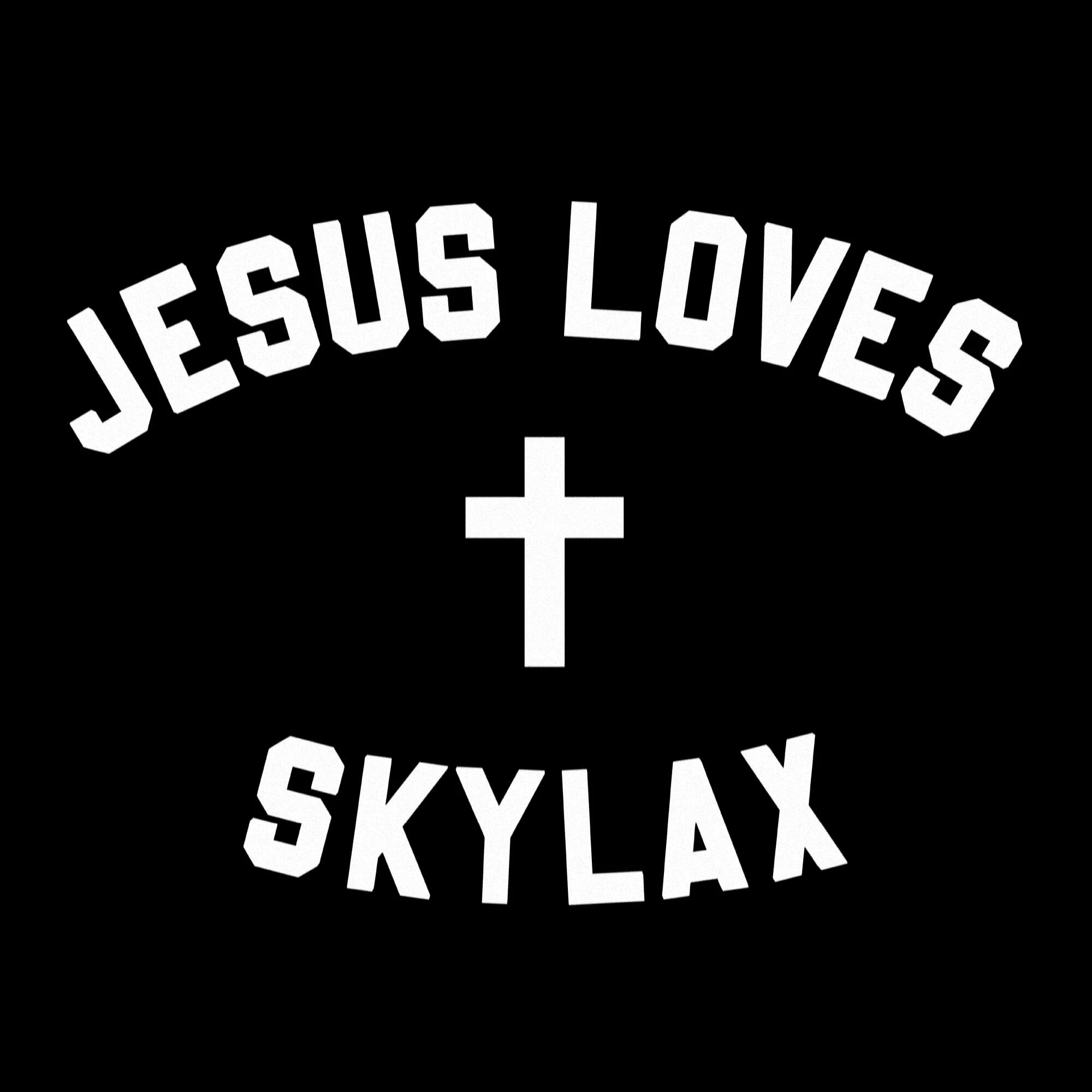 Various/JESUS LOVES SKYLAX VOL 2 12
