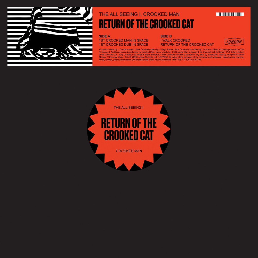 The All Seeing I/THE RETURN OF THE CROOKED CAT 12