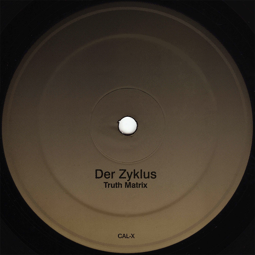 Der Zyklus/TRUTH MATRIX 12