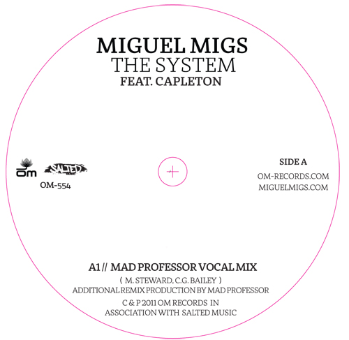 Miguel Migs & Capleton/THE SYSTEM 7"