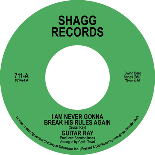 Guitar Ray/I AM NEVER GONNA... 7"