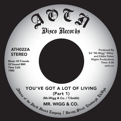 Mr. Wigg & Co/YOU'VE GOT A LOT OF... 7"
