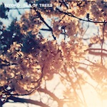 Kiyoko/SEA OF TREES CD