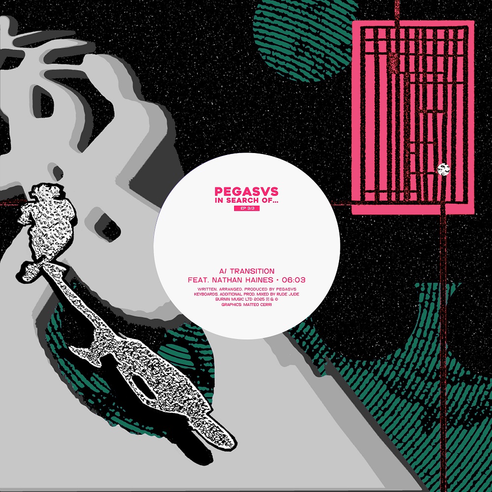 Pegasvs/TRANSITION (LAROYE REMIX) 12"