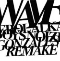Erol Alkan/WAVES-GONZALES REWORKS 10"