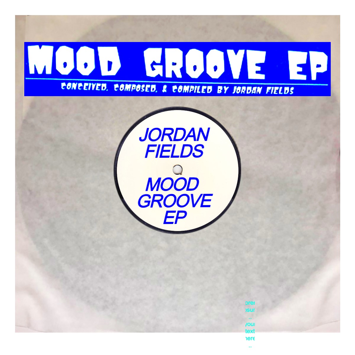 Jordan Fields/MOOD GROOVE EP 12"