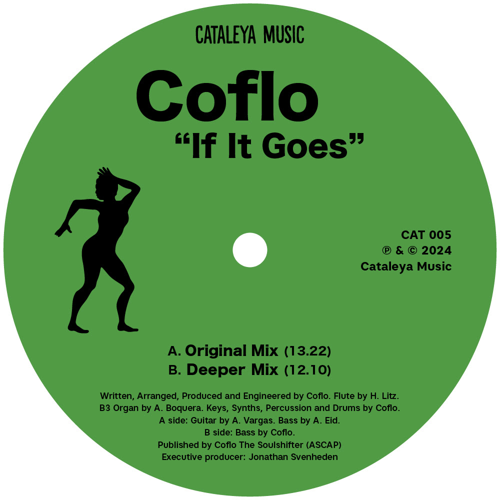 Coflo/IF IT GOES 12"