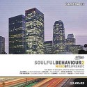 Various/SOULFUL BEHAVIOR 2 (MIXED) CD