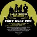 Fort Knox Five/RADIO FREE DC RMX #2 12"