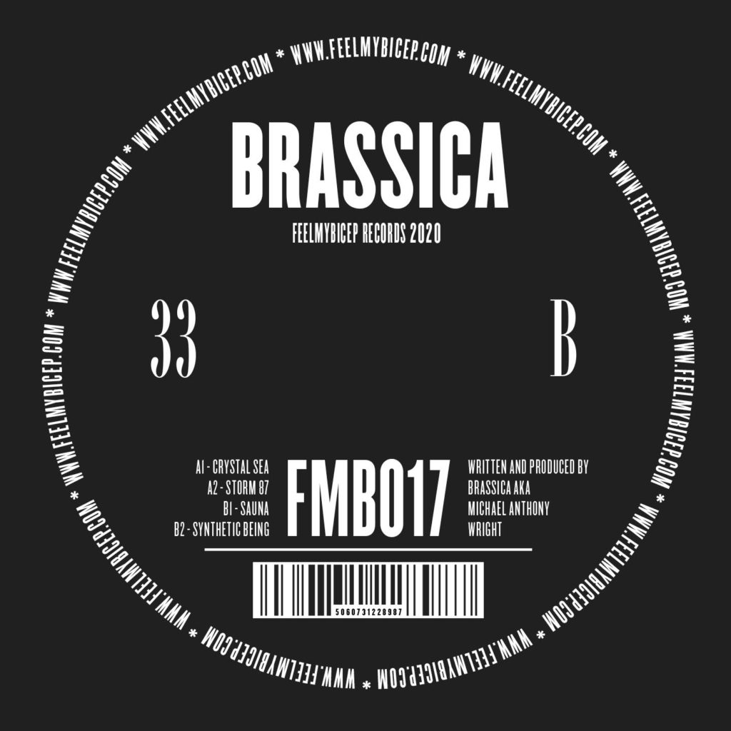 Brassica/CRYSTAL SEA 12"