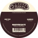 Marvin Gaye/PRAISE (DJ PRIME EDIT) 12"