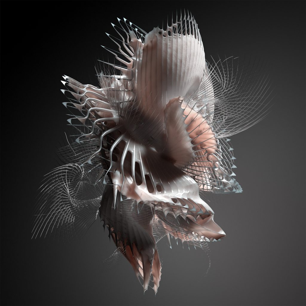 Echonomist/DOMINATOR EP 12"