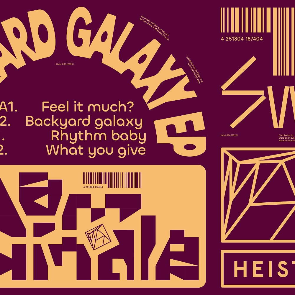 Dam Swindle/BACKYARD GALAXY EP 12"