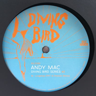 Andy Mac/DIVING BIRD SERIES #3 12"