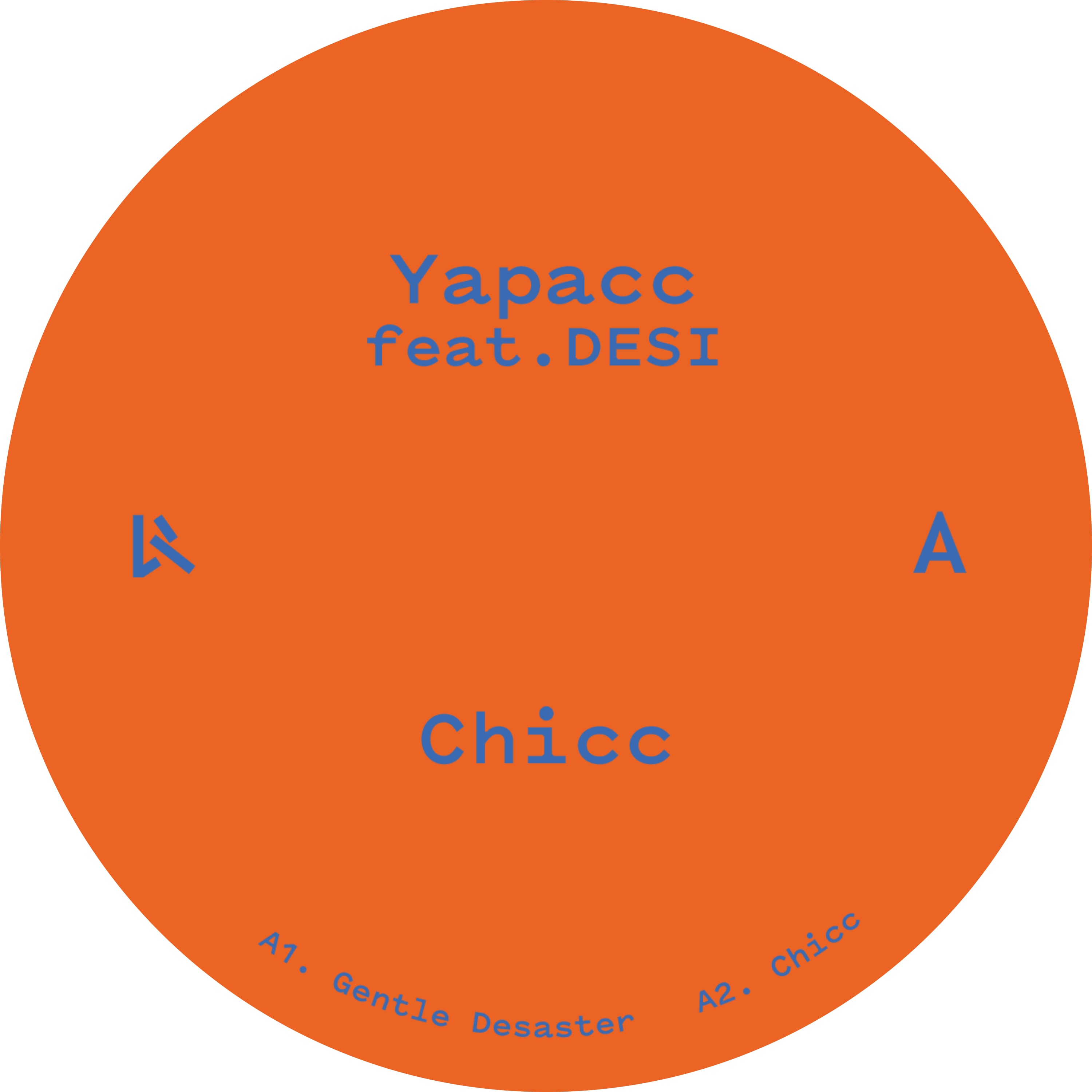 Yapacc & DESI/CHICC 12"