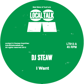 DJ Steaw/I WANT & SKY HUNT 12"