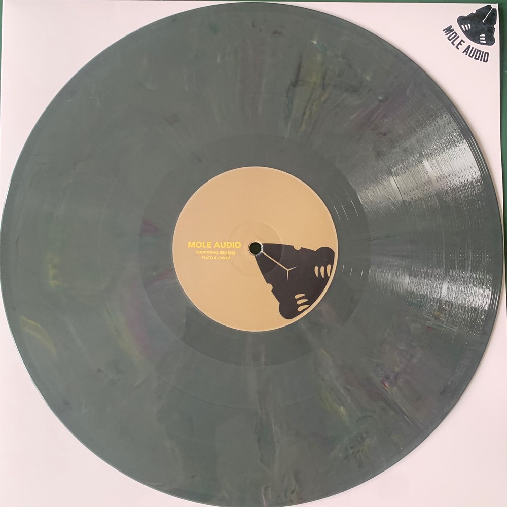 Andy Martin vs Gavsborg/PLATO & CAVES REMIXES 12"