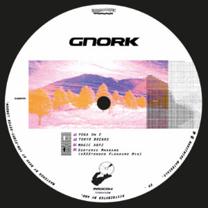 Gnork/MAGIC ARP EP 12"