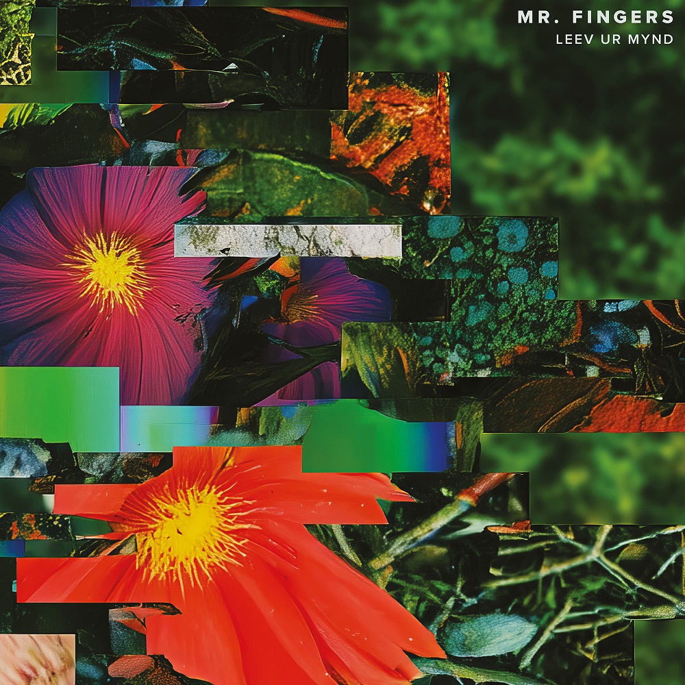 Mr. Fingers/LEEV UR MYND DLP