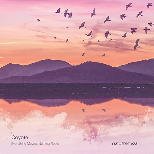 Coyote/EVERYTHING MOVES... LP