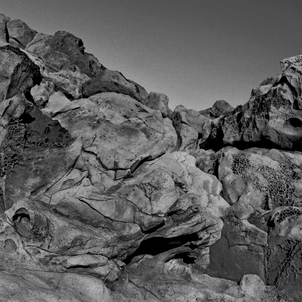 Pugilist/FOUND SOUND DLP