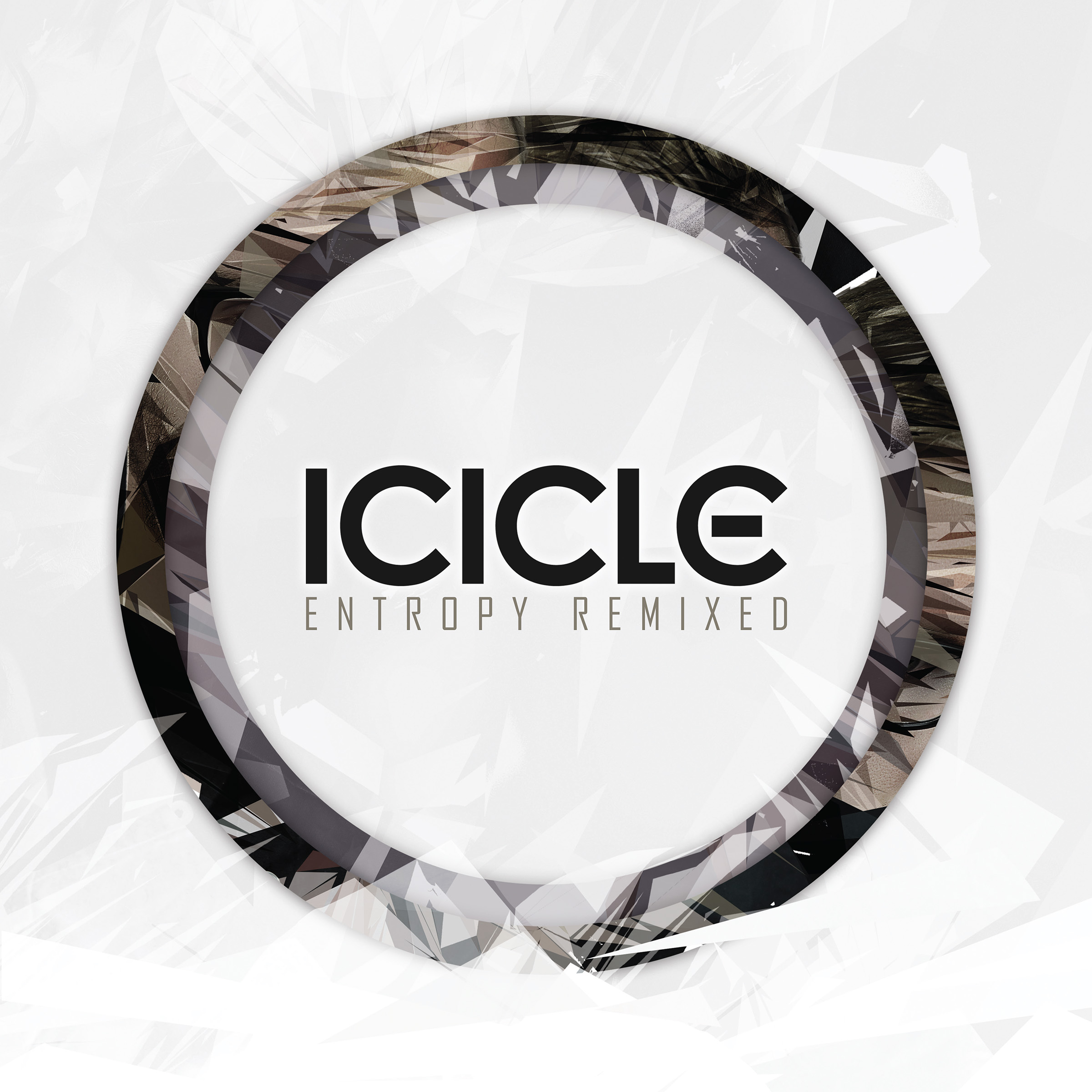 Icicle/ENTROPY REMIXED EP D12"