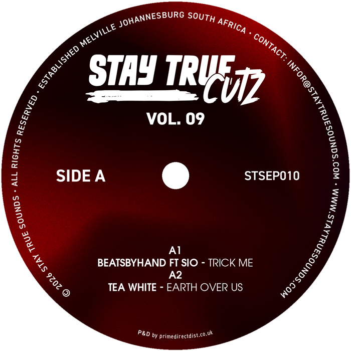 Various/STAY TRUE CUTZ VOLUME 9 12"