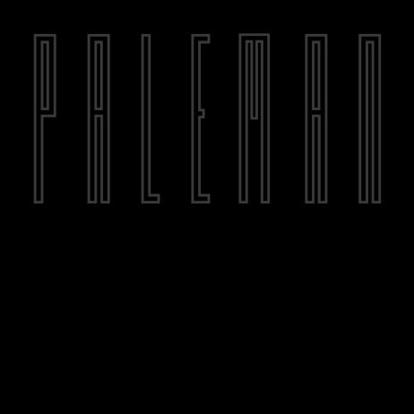 Paleman/THE DAY 12"