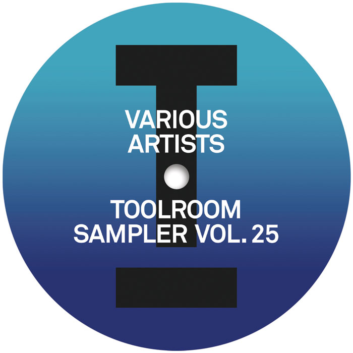 Various/TOOLROOM SAMPLER VOLUME 25 12"