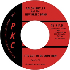 Aalon Butler/IT'S GOT TO BE SOMETHIN' 7"