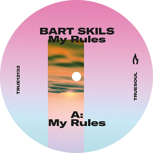 Bart Skils/MY RULES 12"