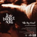 Low Budget Soul/FILLS MY HEART 12"